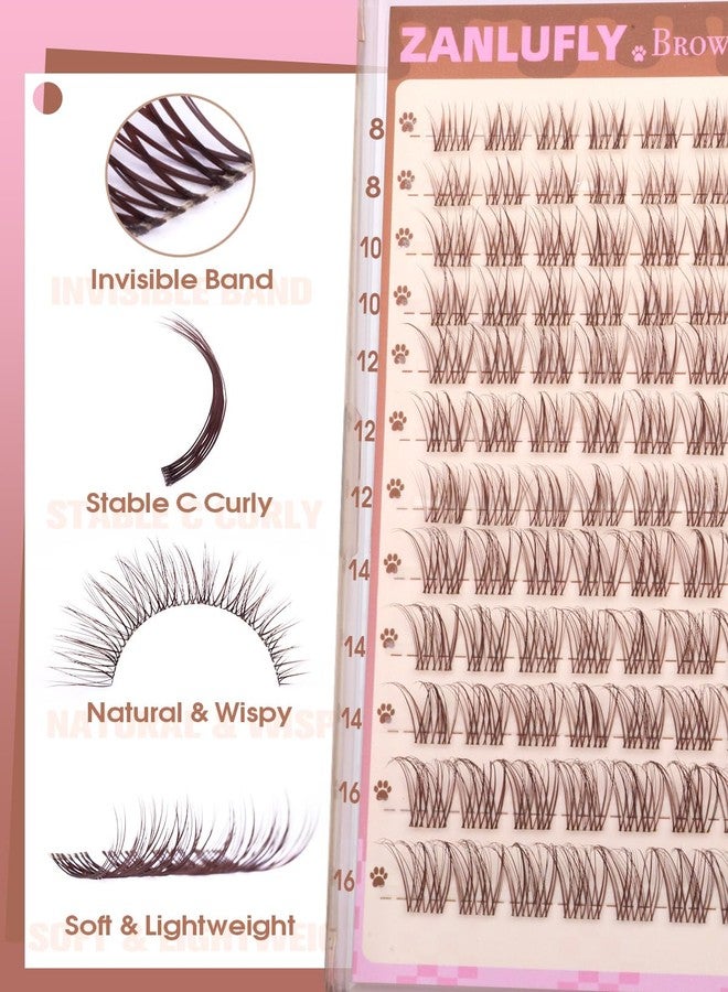 zanlufly Brown Lash Clusters Clear Band Eyelash Clusters Natural Lashes Clusters Dark Brown Lash Extension C Curly Cluster Eyelash Extensions 8-16mm DIY Individual Lashes by ZANLUFLY - Image 3